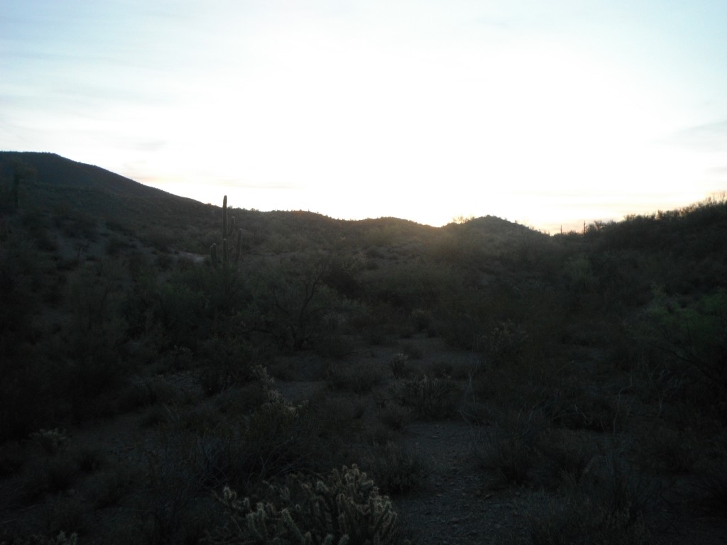 Arizona Quail Country