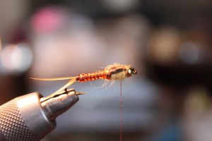 Stonefly pattern