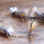 Smith's Stonehopper