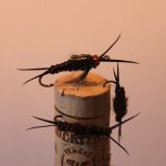 Pete's Stonefly