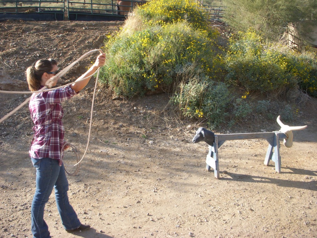 Roping Cows