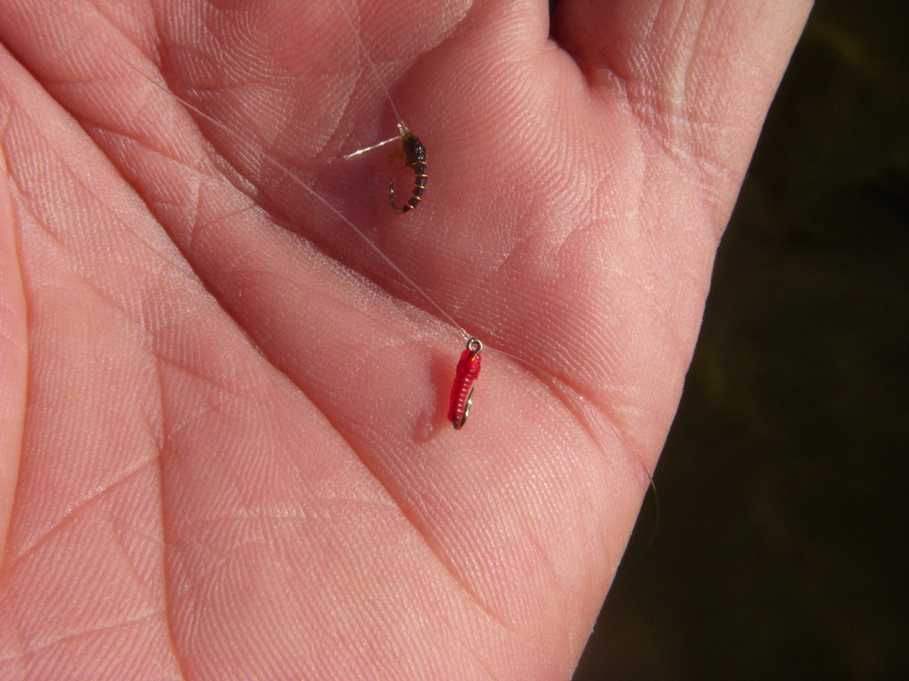 Red Hot/Zebra Midge Combo