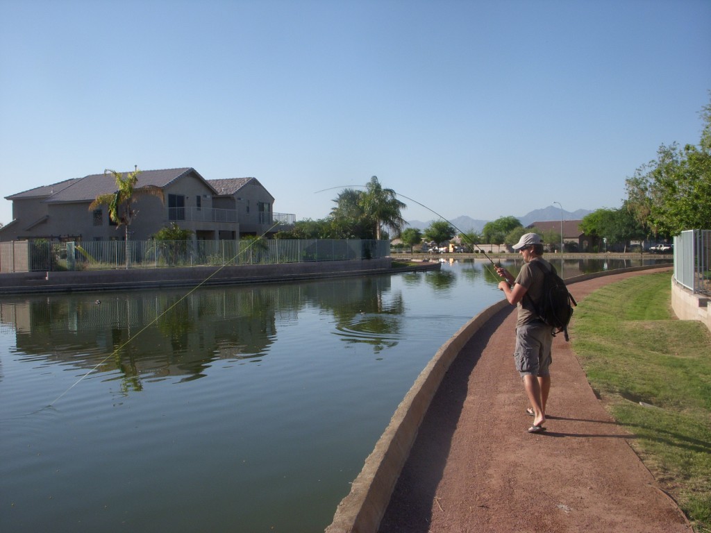 Arizona Fly Fishing: Brownlining - Arizona WanderingsArizona Wanderings