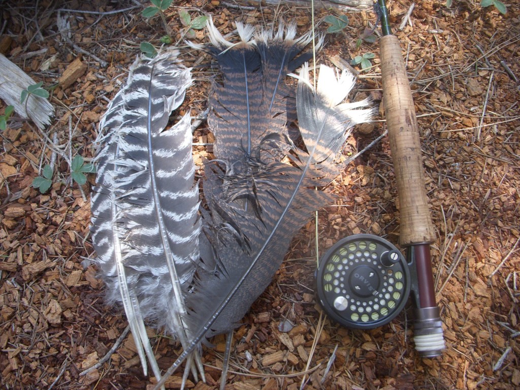 Fly Tying Turkey Feathers