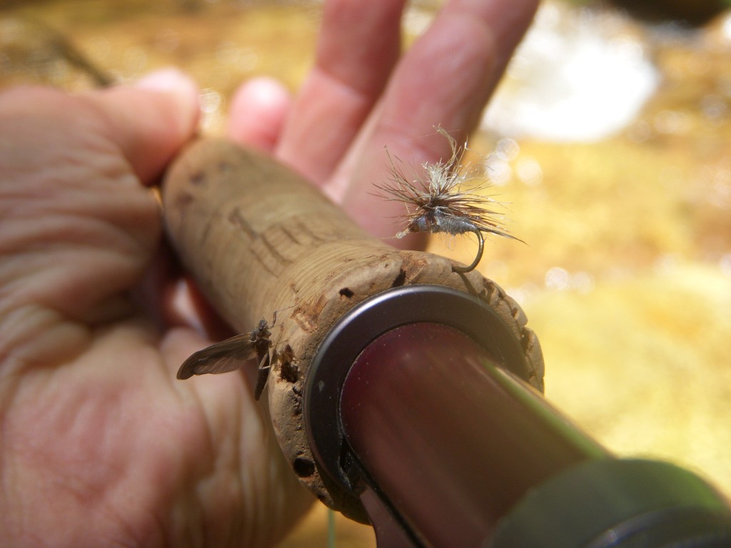 Parachute and BWO