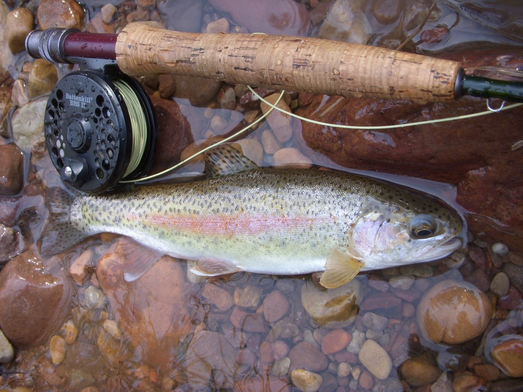 Orvis Battenkill BBS II (3-5wt) Fly Reel - Leland