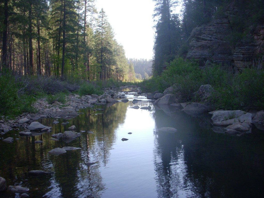 Rattlesnake Pool