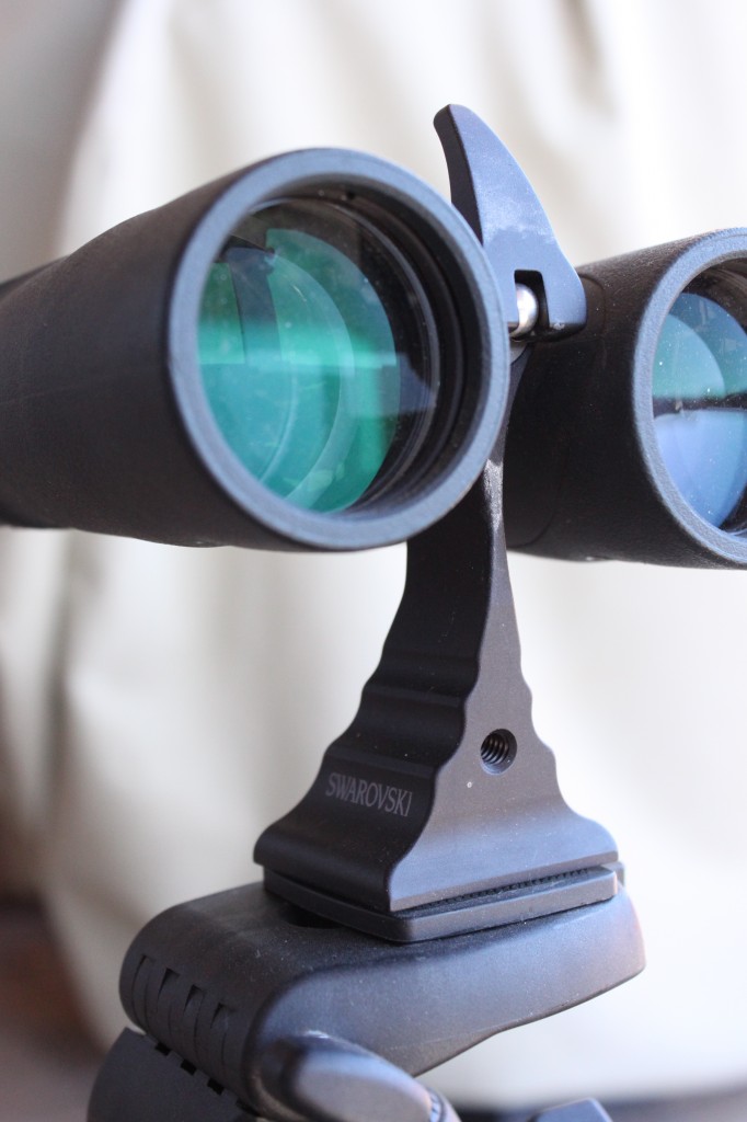 Swarovski binocular sale mount