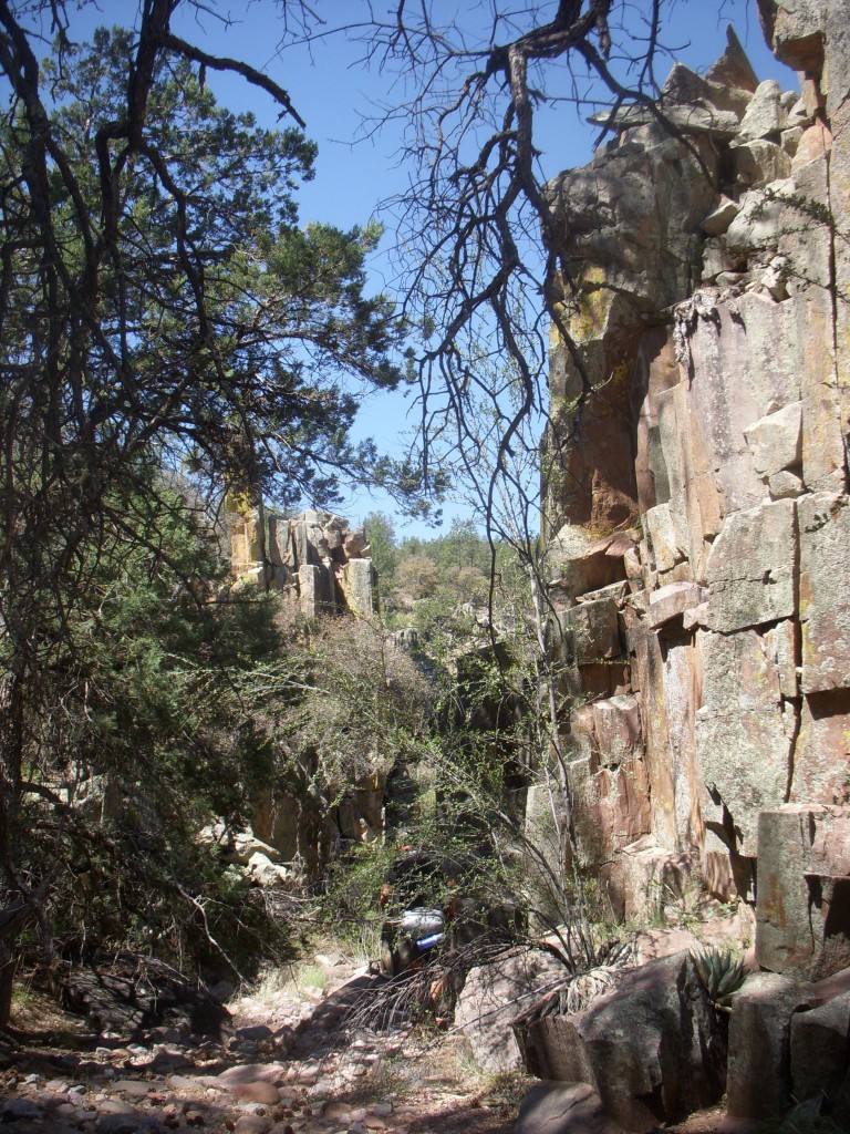 Arizona Fly Fishing: The Backcountry - Arizona WanderingsArizona Wanderings