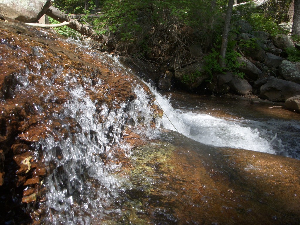 Small Creek Fly Fishing