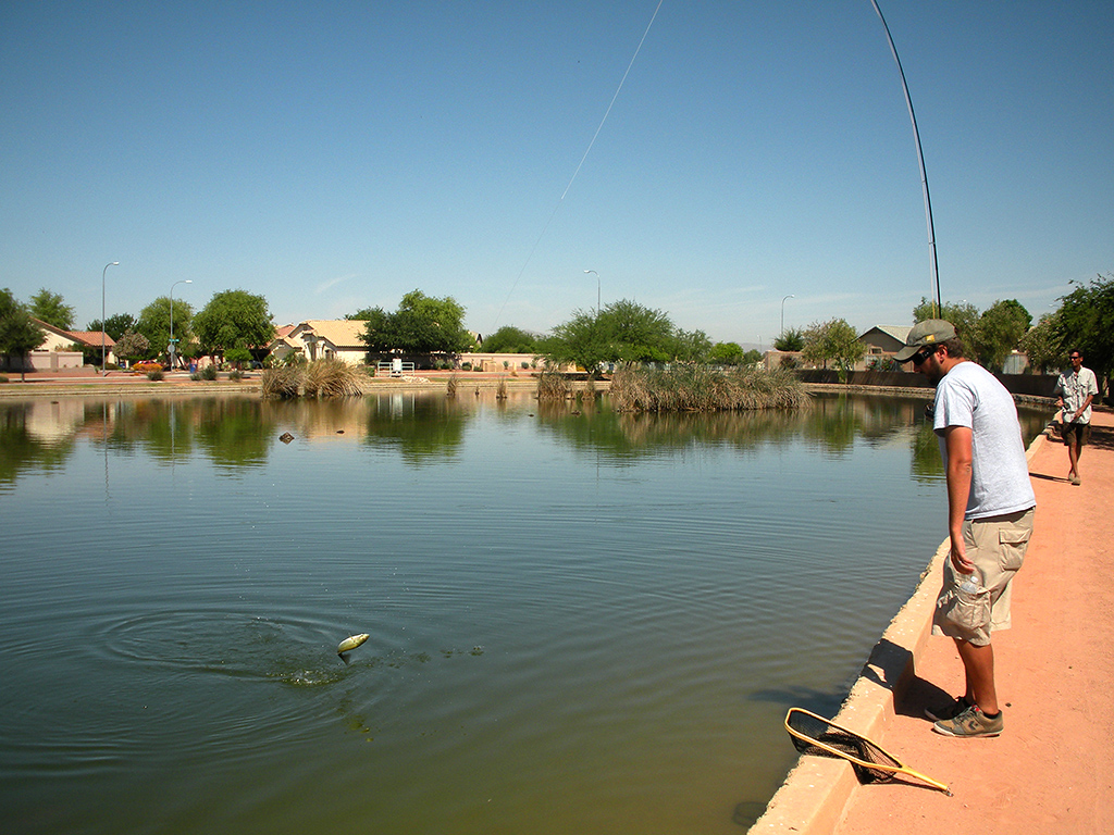 Fly Fishing Arizona: A stroll around the ponds - Arizona WanderingsArizona  Wanderings