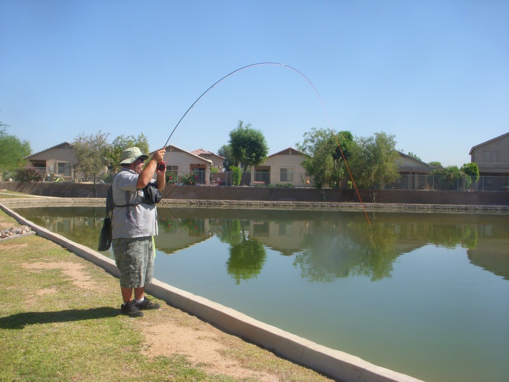 Fly Fishing Arizona - Upper Lake Mary Pike - Arizona WanderingsArizona  Wanderings