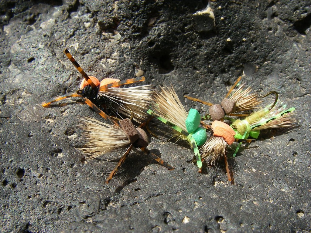 Mini-Hoppers in New Mexico