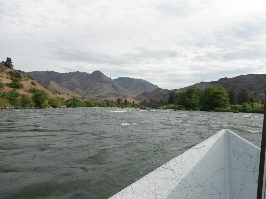 On the River