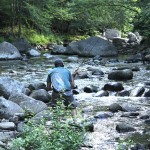 Small Stream