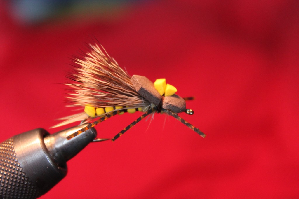 tying stonefly patterns