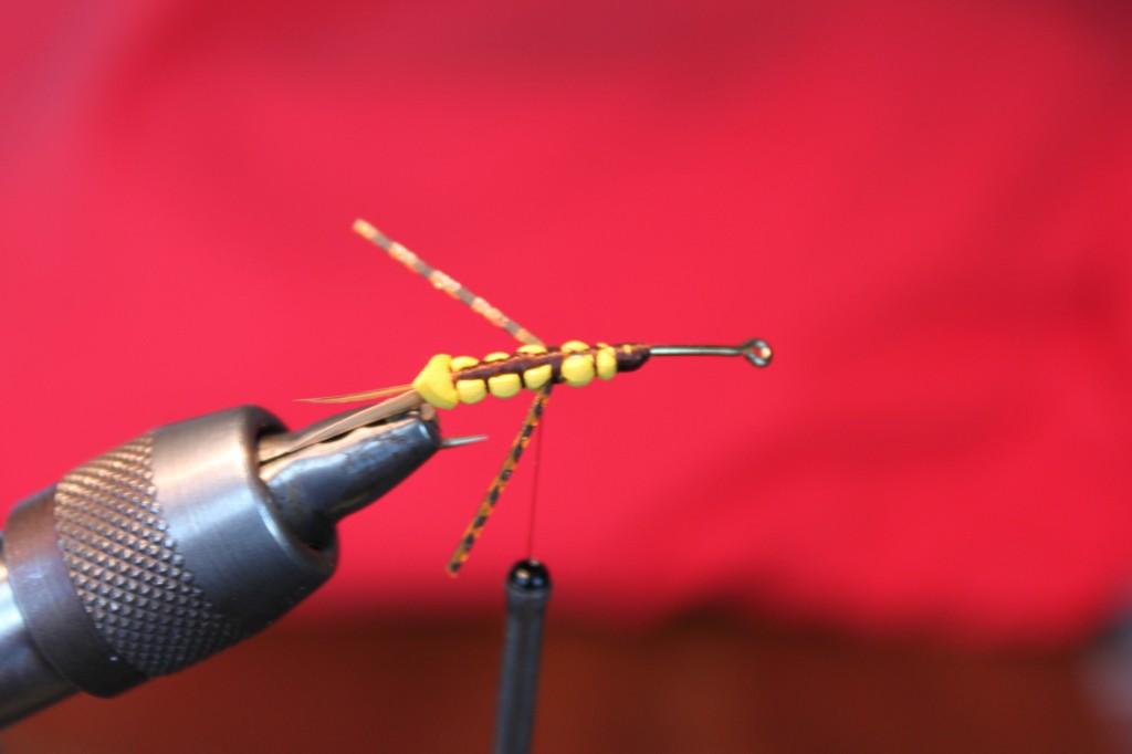 Fly Tying: Splashything Stonefly Pattern - Arizona WanderingsArizona  Wanderings