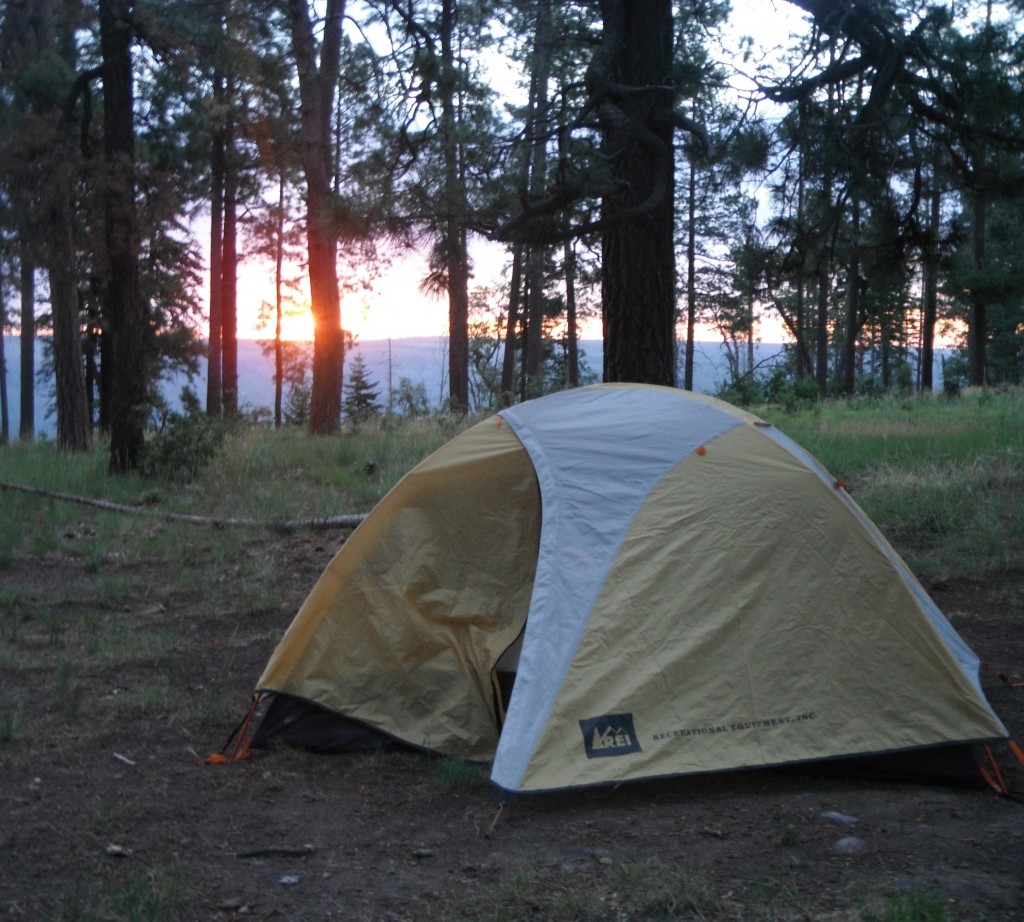 Morning on the Rim