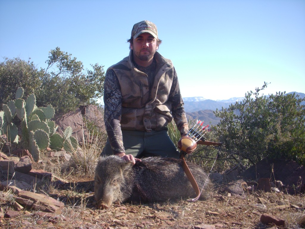 Arizona Javelina