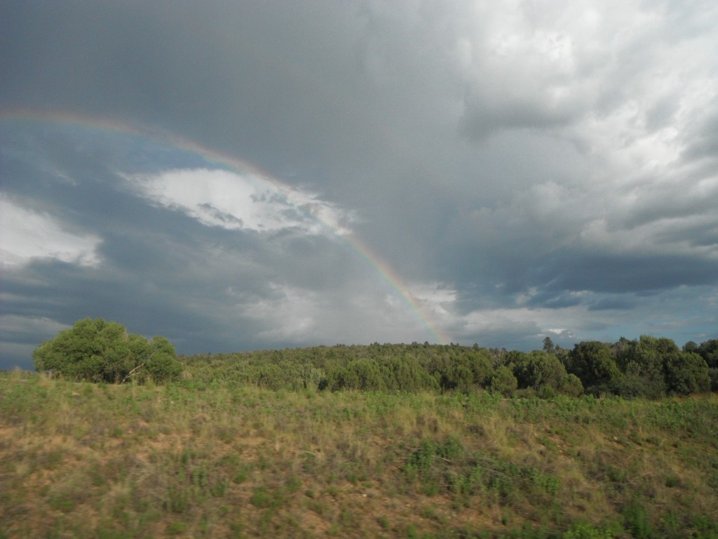 Thunderstorms in the high country