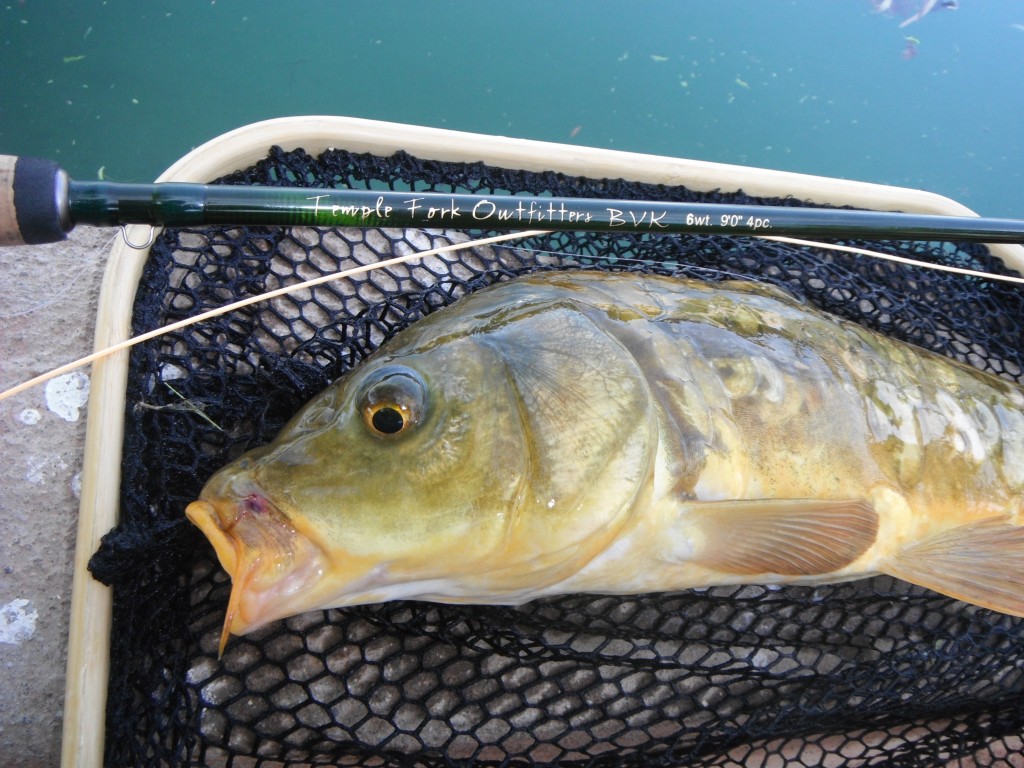 ICAST 2019: New Fly Rods and Reels from Temple Fork Outfitters