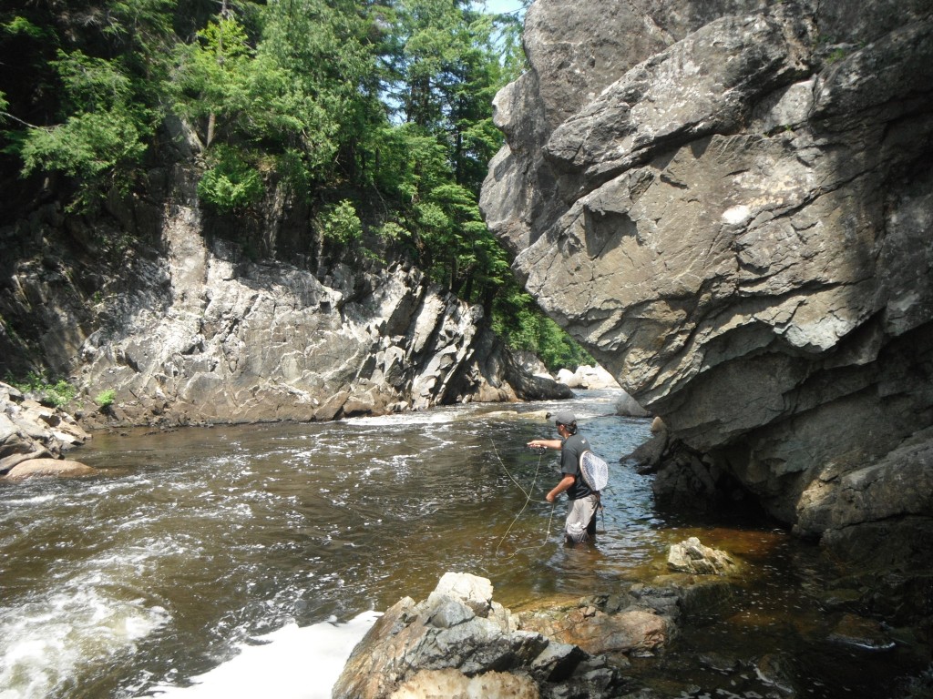 Working a Foamy Run