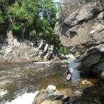 Working a Foamy Run