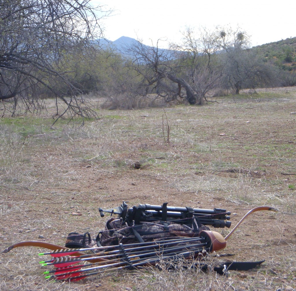 The Fox Breed in javelina country