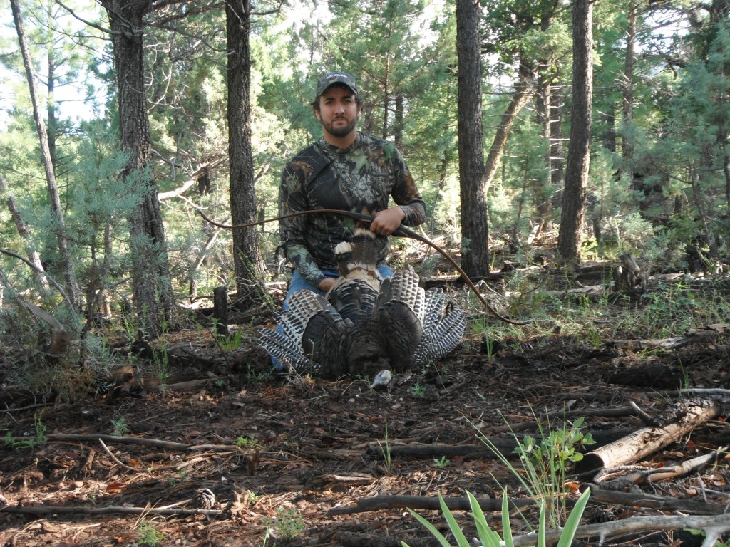 Arizona Merriam's Turkey