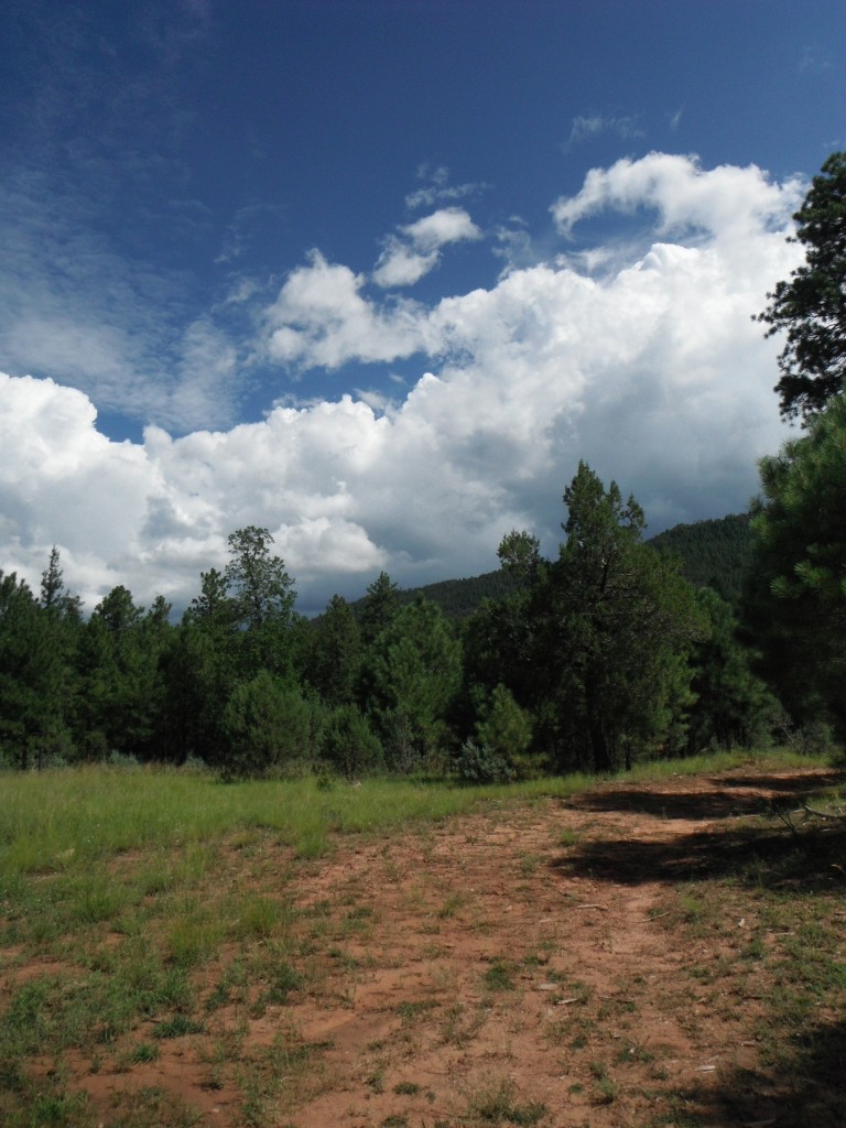 Thunderheads building