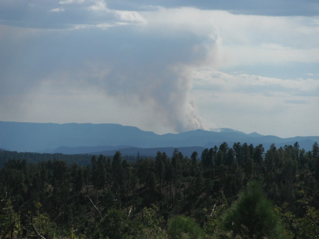 The Tanner Fire