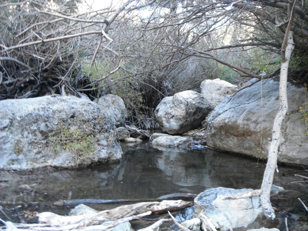 The Quiet Pool