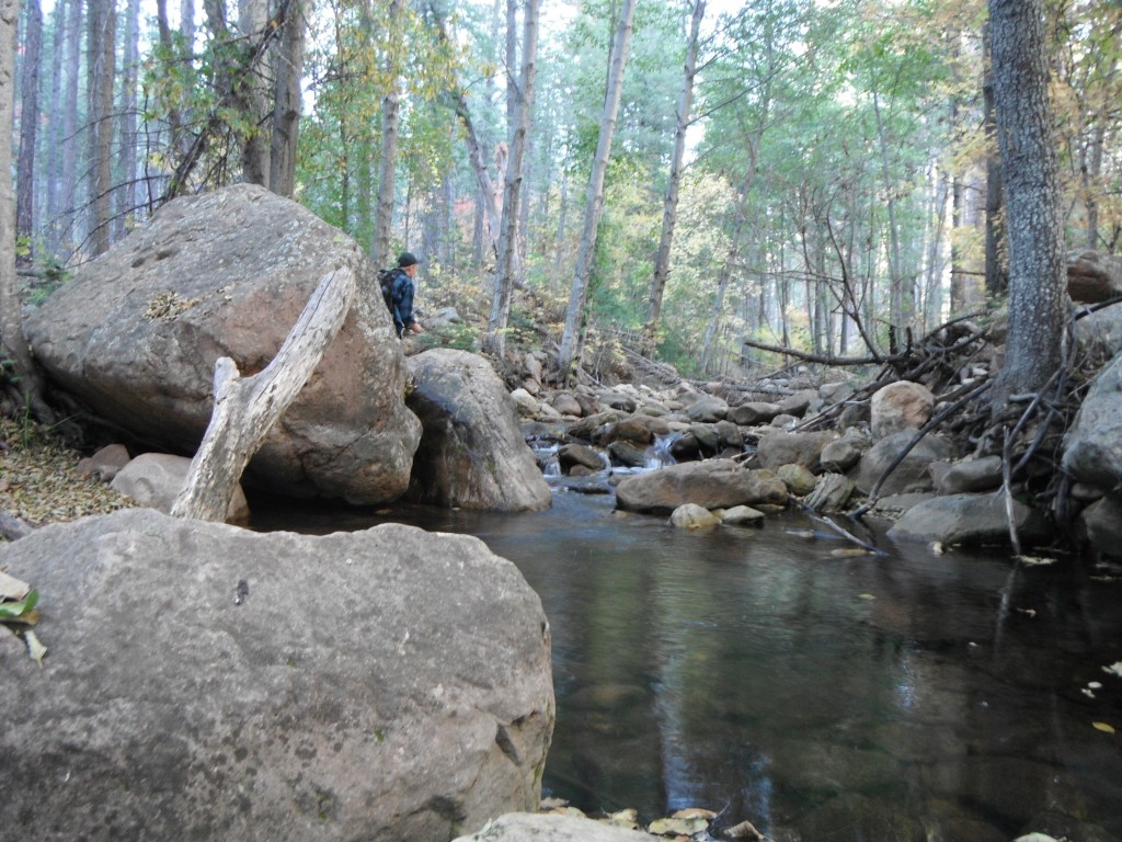 Small Stream Heaven