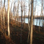 My opening morning