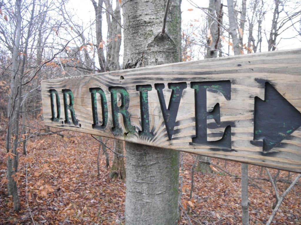 DR Drive