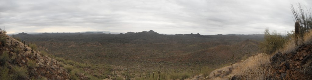 Gambel's Quail Country