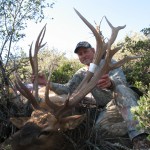 Arizona Elk