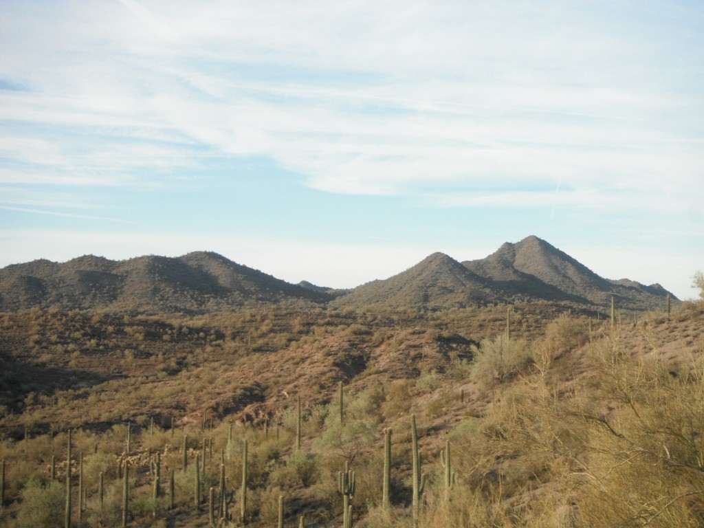 Arizona Quail Country