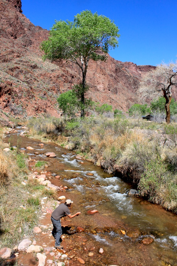 Angel Creek by Linda Howard