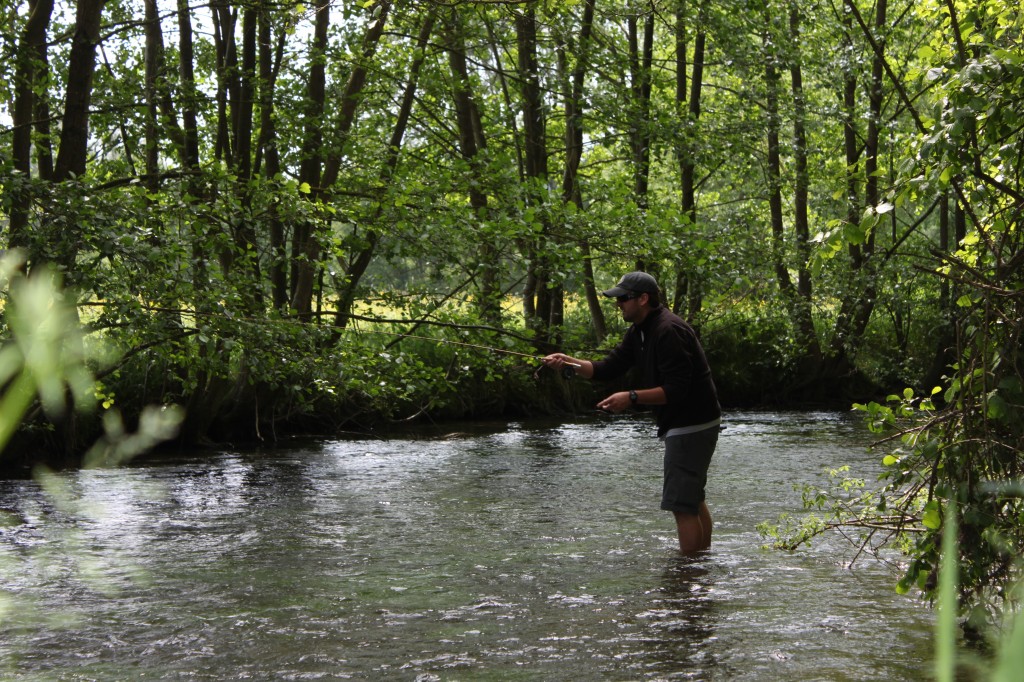 Cortland 444 Classic - Clear Creek Fly Line