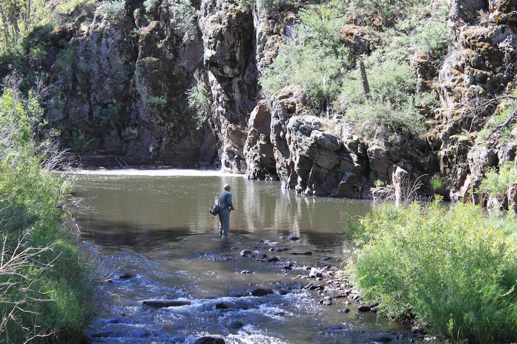 White Mountains Essential Fly Box-The week long selection – Arizona Fly  Fishing