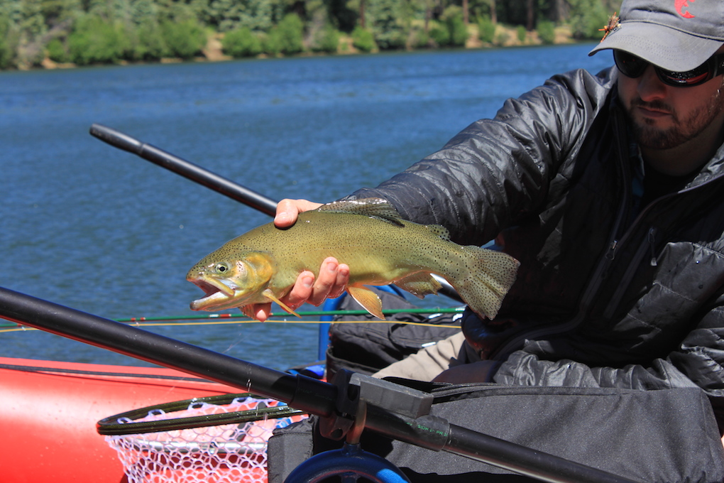 Winter Fly Tying - Arizona WanderingsArizona Wanderings