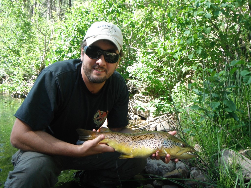 Night Fishing Tactics for Brown Trout – Cortland Line Company