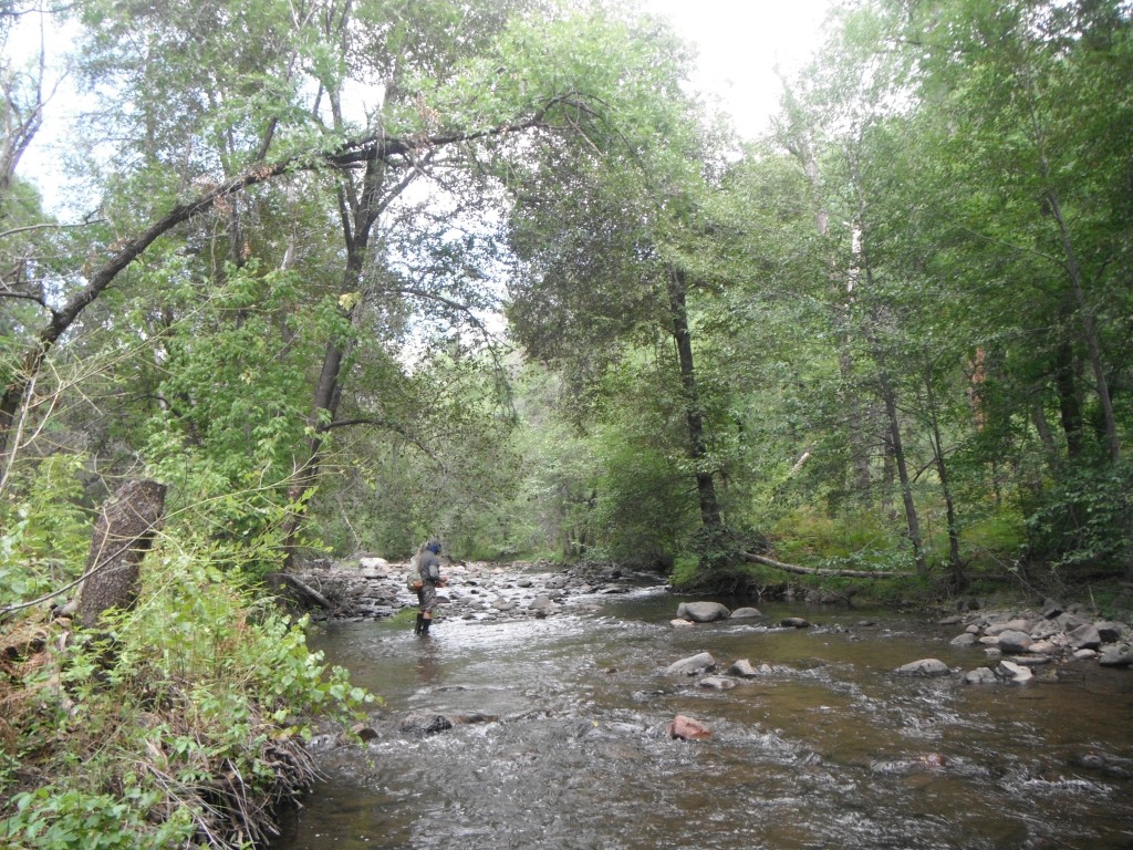 Fly Fishing White Mountains