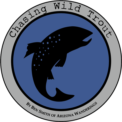 Chasing Wild Trout E-book