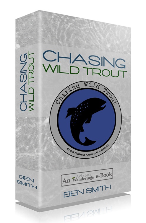 Chasing Wild Trout: A Beginner's Guide to Fly Fishing Small Streams Ebook