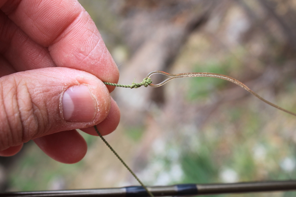 Cortland Clear Camo Intermediate Fly Line at The Fly Shop