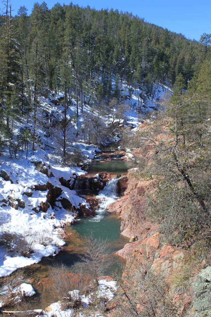 Fly Fishing Arizona