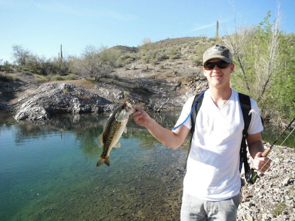 Largemouth Bass