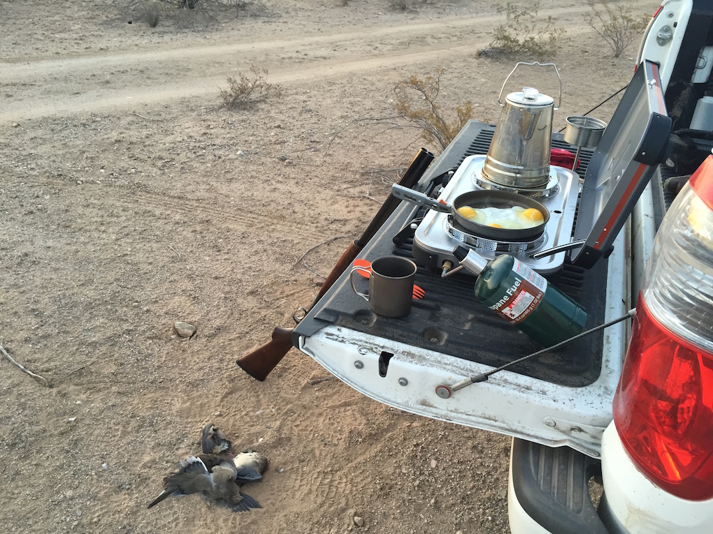 Arizona Dove Season Arizona WanderingsArizona Wanderings